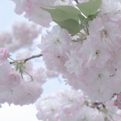 和县FurryQQ群介绍